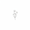 Wildflower Line Art Print